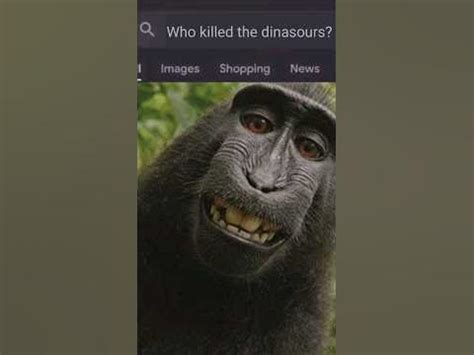 who killed the dinosaurs meme.